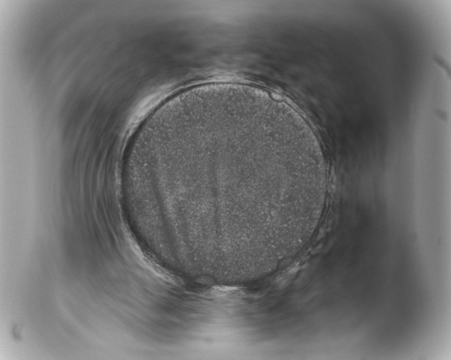 X0000102400055200808291454