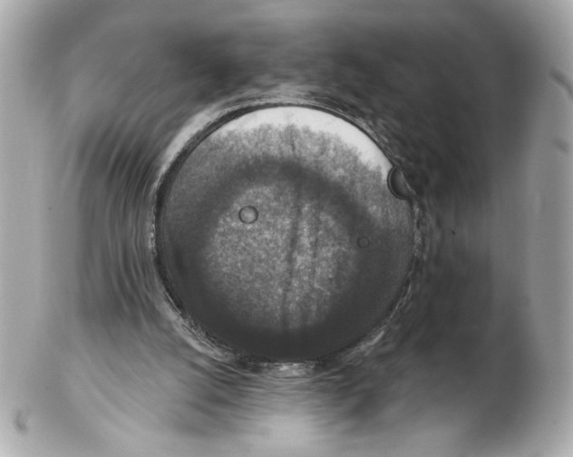 X0000102400056200808291454