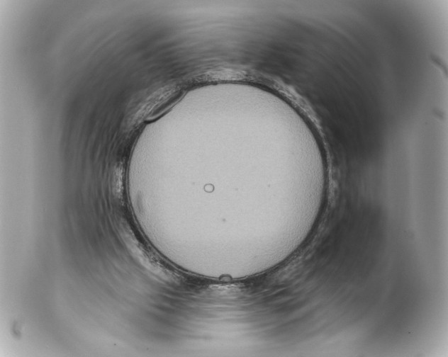 X0000102400057200808291454