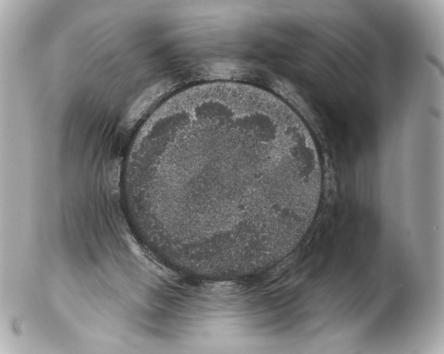 X0000102400058200808291454