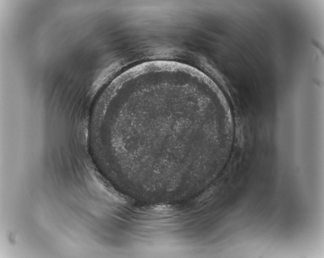 X0000102400059200808291454