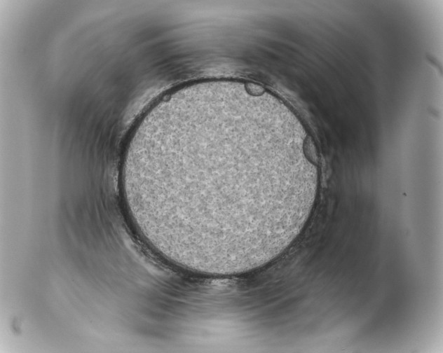 X0000102400060200808291454