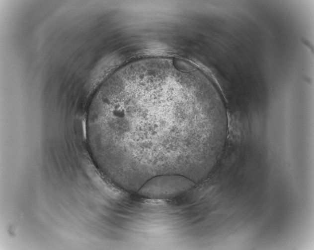X0000102400061200808291454