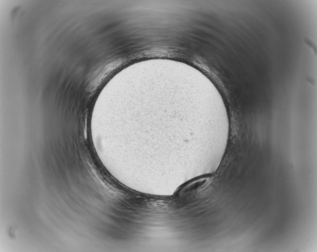 X0000102400062200808291454