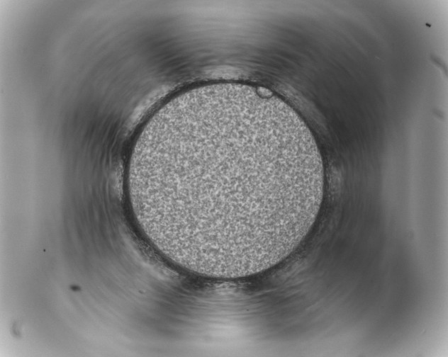 X0000102400064200808291454