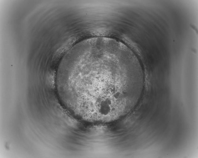 X0000102400065200808291454