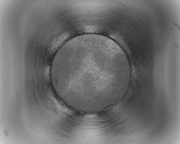 X0000102400066200808291454