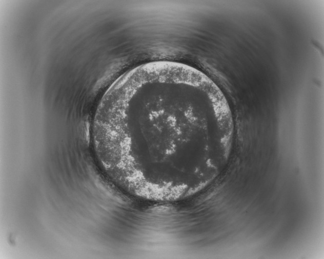 X0000102400067200808291454