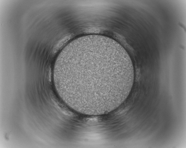 X0000102400068200808291454