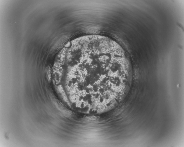 X0000102400069200808291454