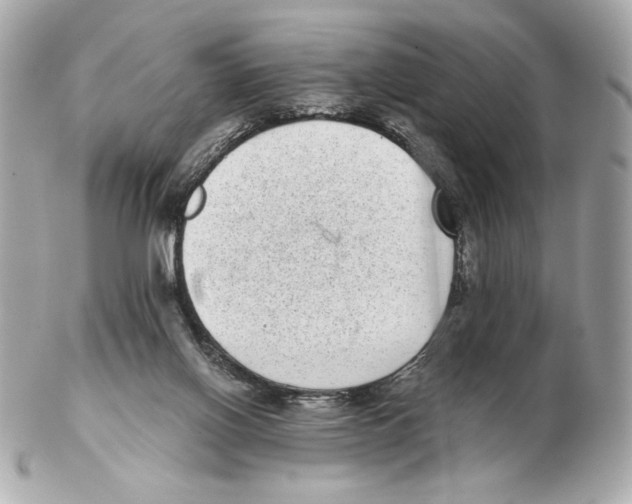 X0000102400070200808291454
