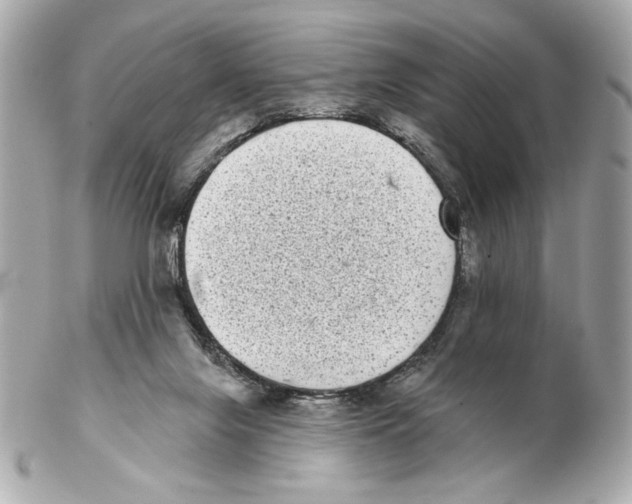 X0000102400071200808291454