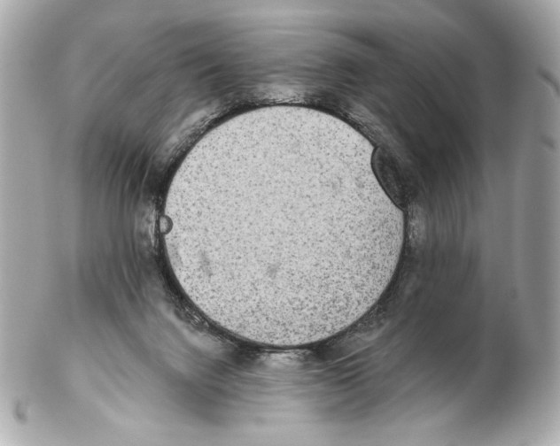 X0000102400072200808291454