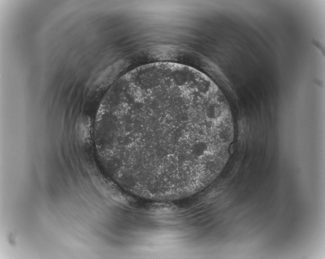 X0000102400073200808291454
