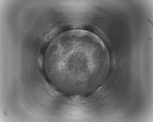X0000102400074200808291454