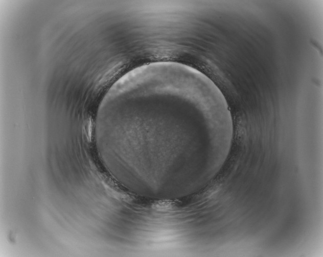 X0000102400076200808291454