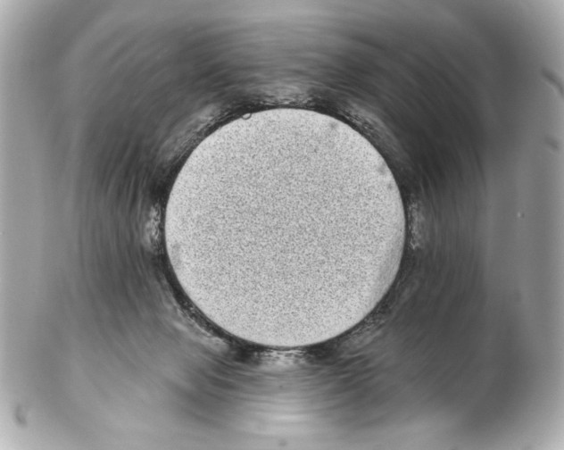 X0000102400077200808291454