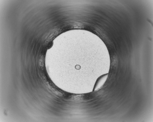 X0000102400078200808291455