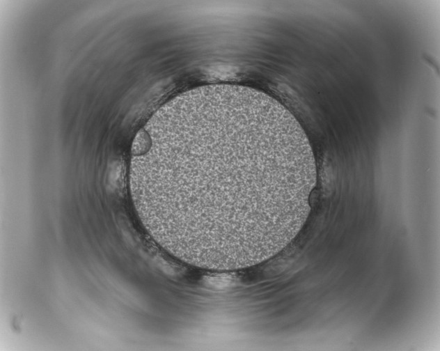 X0000102400079200808291455