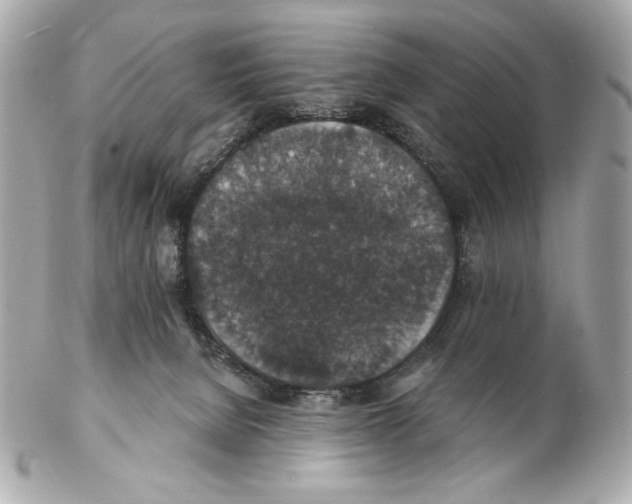 X0000102400080200808291455