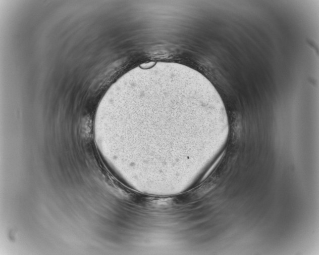 X0000102400081200808291455
