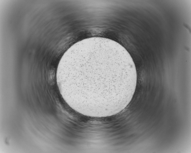 X0000102400082200808291455