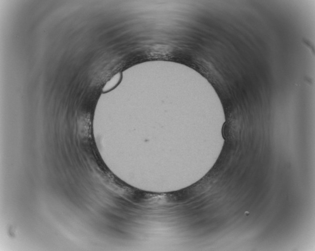 X0000102400083200808291455