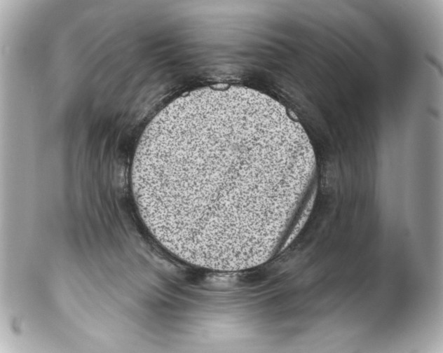 X0000102400084200808291455