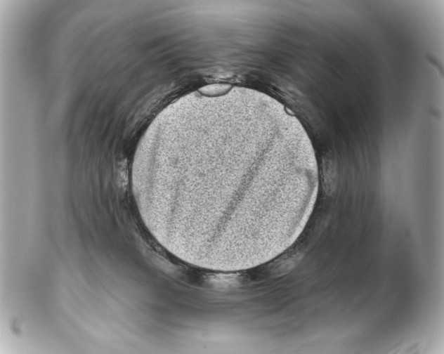 X0000102400085200808291455