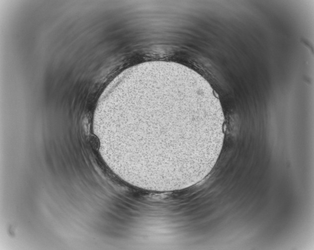 X0000102400086200808291455