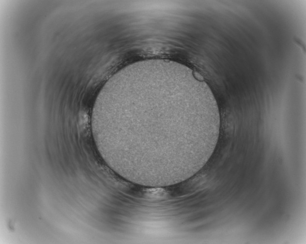X0000102400087200808291455
