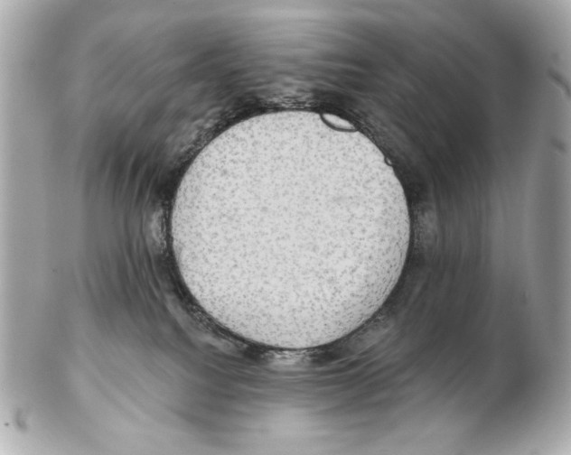 X0000102400088200808291455