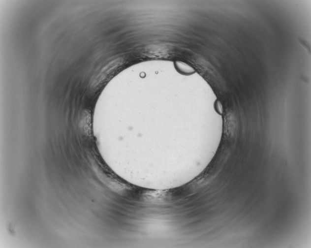 X0000102400092200808291455