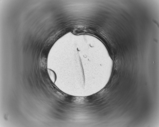 X0000102400093200808291455