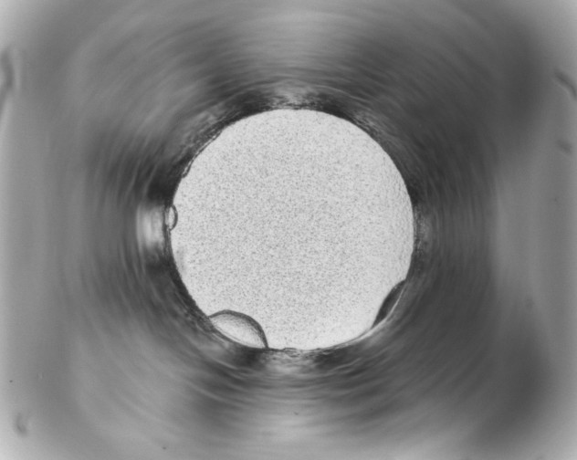 X0000102400094200808291455