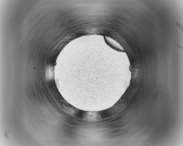 X0000102400095200808291455