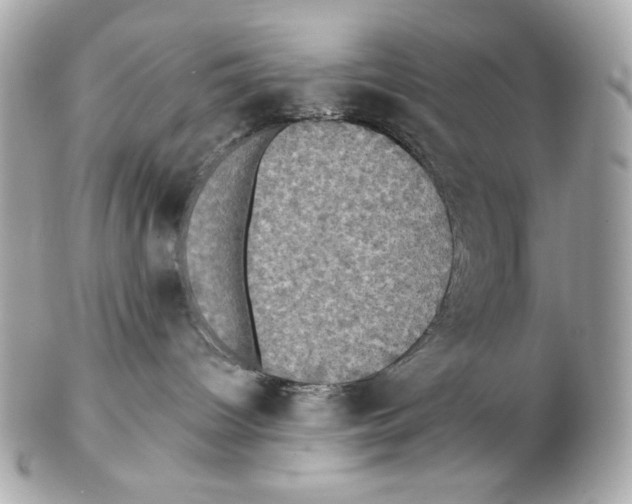 X0000102400096200808291455
