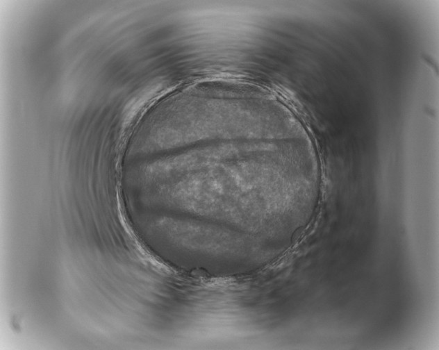 X0000102400097200808291454