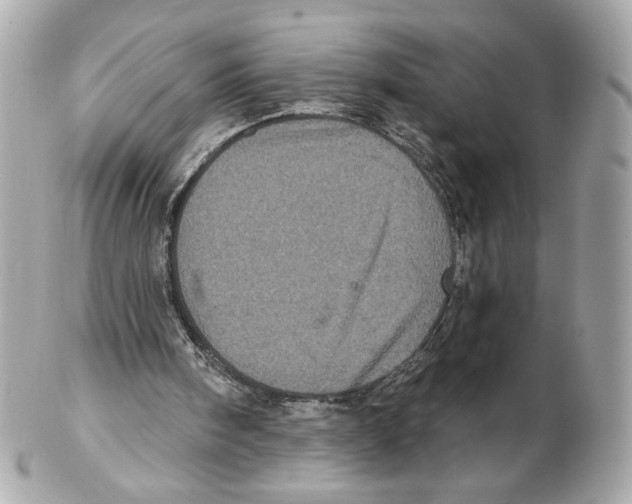 X0000102400098200808291454