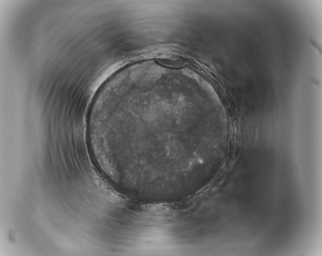 X0000102400100200808291454