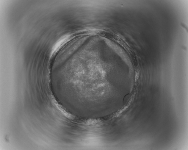 X0000102400101200808291454