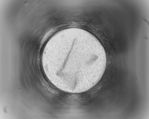 X0000102400102200808291454