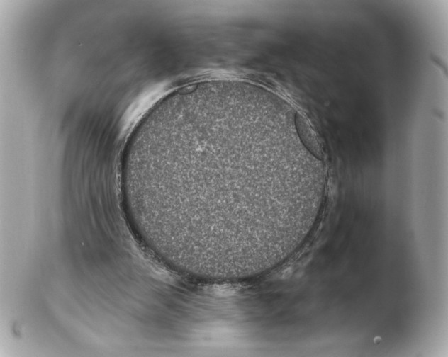 X0000102400103200808291454