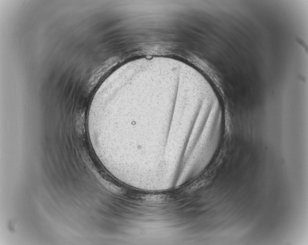 X0000102400105200808291454