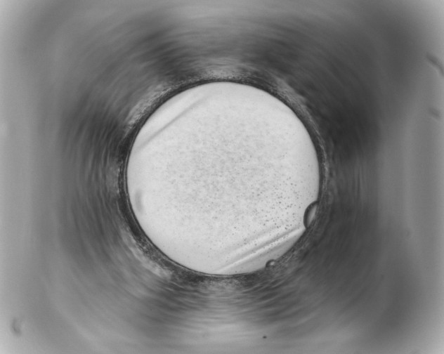 X0000102400106200808291454