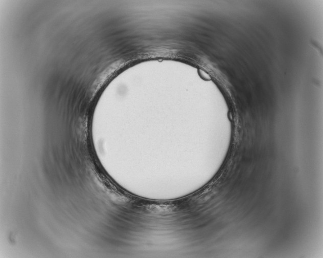 X0000102400107200808291454