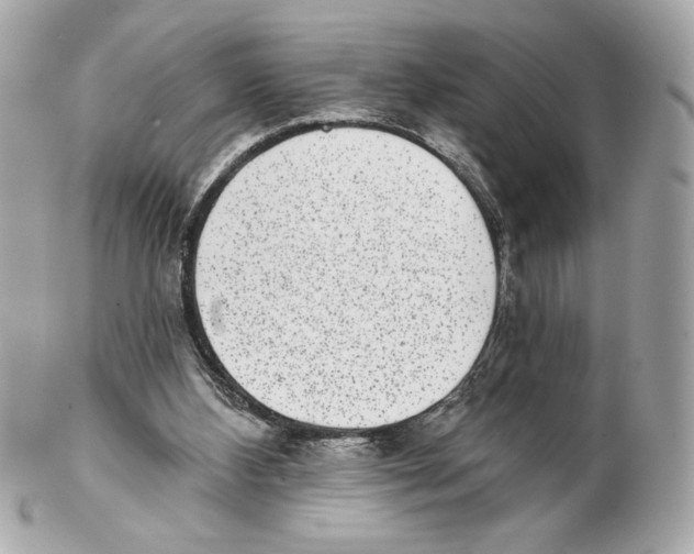 X0000102400108200808291454
