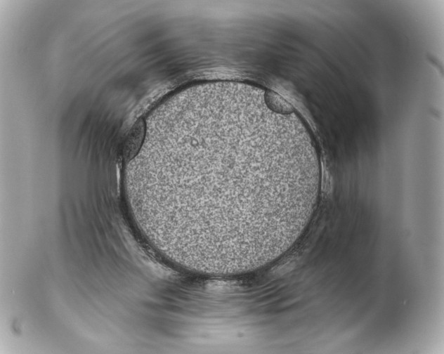 X0000102400109200808291454