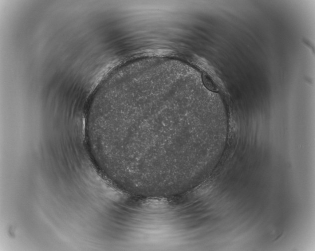 X0000102400110200808291454