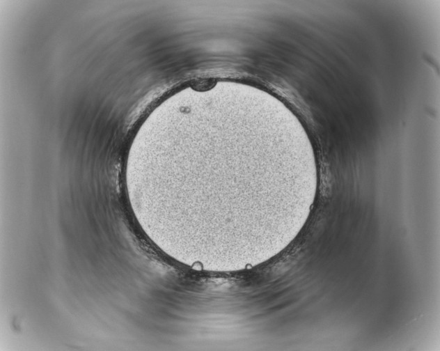 X0000102400111200808291454